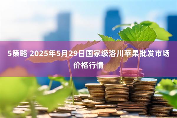 5策略 2025年5月29日国家级洛川苹果批发市场价格行情