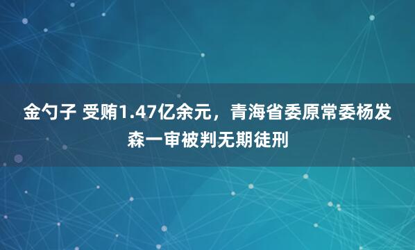 金勺子 受贿1.47亿余元，青海省委原常委杨发森一审被判无期徒刑