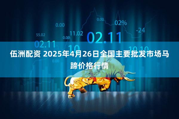 伍洲配资 2025年4月26日全国主要批发市场马蹄价格行情