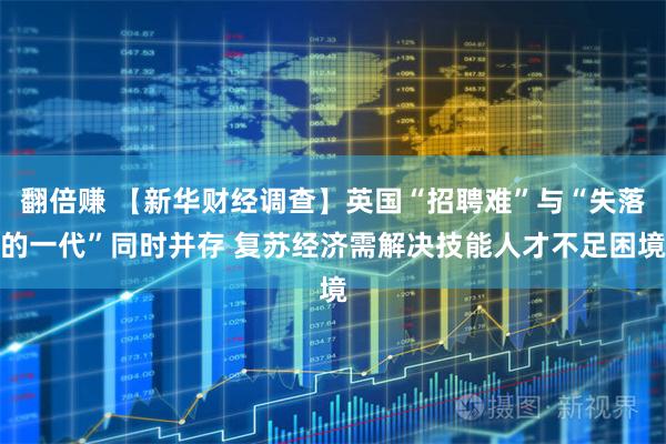翻倍赚 【新华财经调查】英国“招聘难”与“失落的一代”同时并存 复苏经济需解决技能人才不足困境